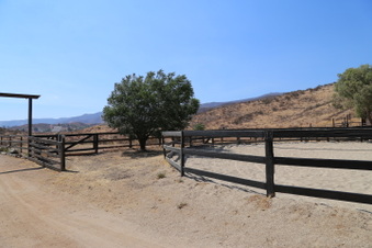 Enlarge photo 105