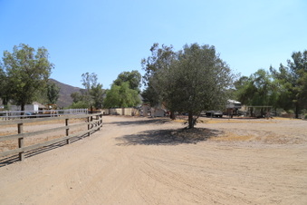 Enlarge photo 110