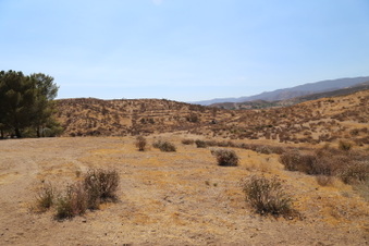 Enlarge photo 112