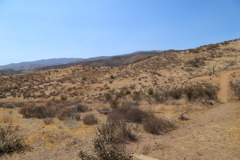 Enlarge photo 113