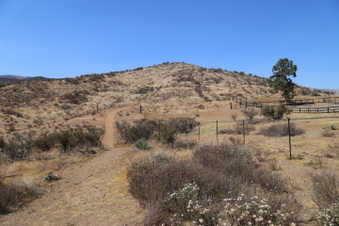 Enlarge photo 114