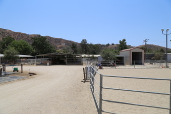 Enlarge photo 26