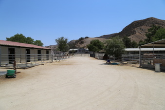 Enlarge photo 32