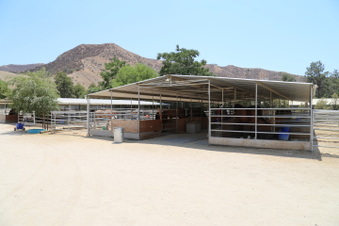Enlarge photo 33