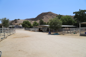 Enlarge photo 34