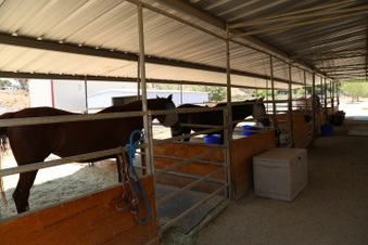 Enlarge photo 40