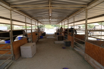 Enlarge photo 41