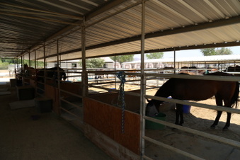 Enlarge photo 42