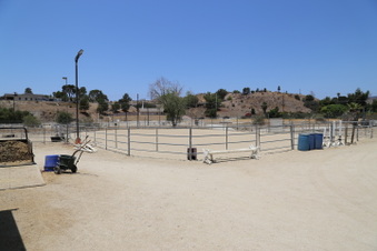 Enlarge photo 43