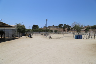 Enlarge photo 47