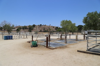 Enlarge photo 48