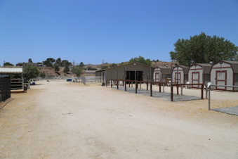 Enlarge photo 55