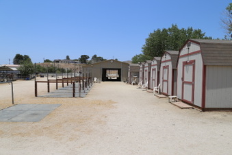 Enlarge photo 60