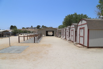 Enlarge photo 62