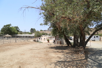 Enlarge photo 75