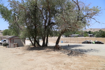 Enlarge photo 78