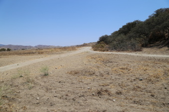 Enlarge photo 79
