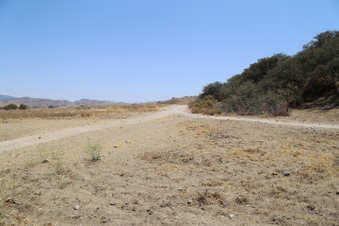 Enlarge photo 80
