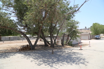 Enlarge photo 82