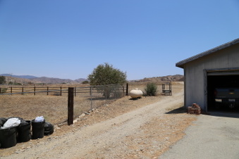 Enlarge photo 85