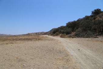Enlarge photo 115