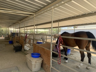Enlarge photo 39
