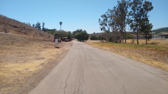 Enlarge photo 16