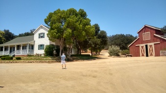 Enlarge photo 5