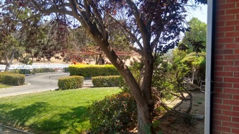 Enlarge photo 28