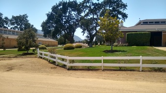 Enlarge photo 37