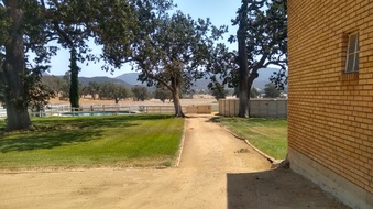 Enlarge photo 40