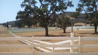 Enlarge photo 41
