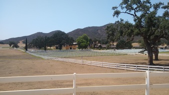 Enlarge photo 42