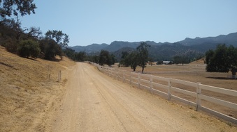 Enlarge photo 44