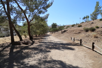 Enlarge photo 57