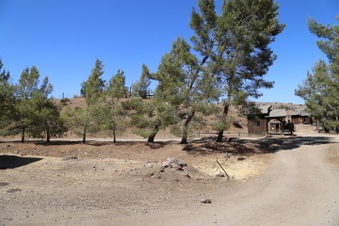 Enlarge photo 49