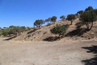 Enlarge photo 52