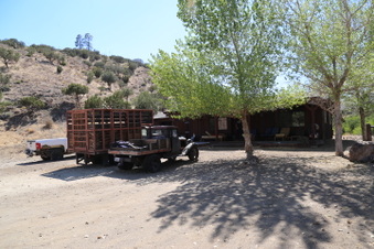 Enlarge photo 55