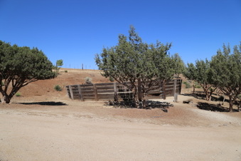 Enlarge photo 76