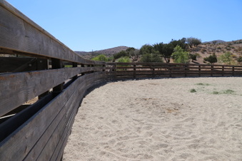 Enlarge photo 82