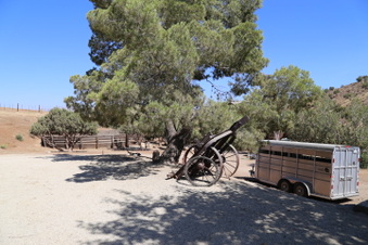 Enlarge photo 87