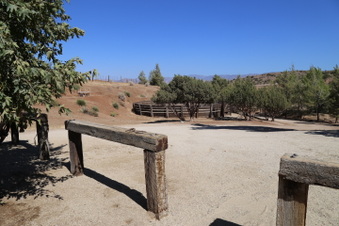 Enlarge photo 91