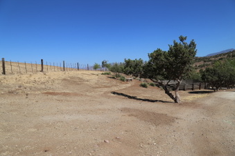 Enlarge photo 94