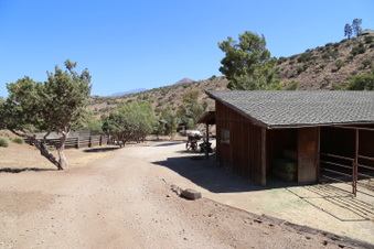 Enlarge photo 95