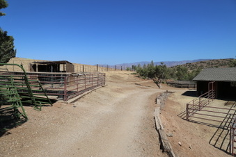 Enlarge photo 97