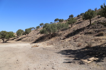 Enlarge photo 66