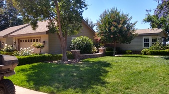 Enlarge photo 27