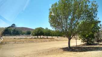Enlarge photo 28