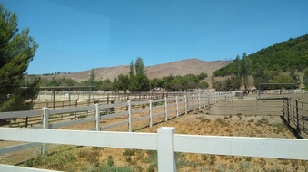 Enlarge photo 29