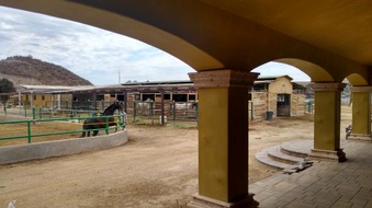 Enlarge photo 32